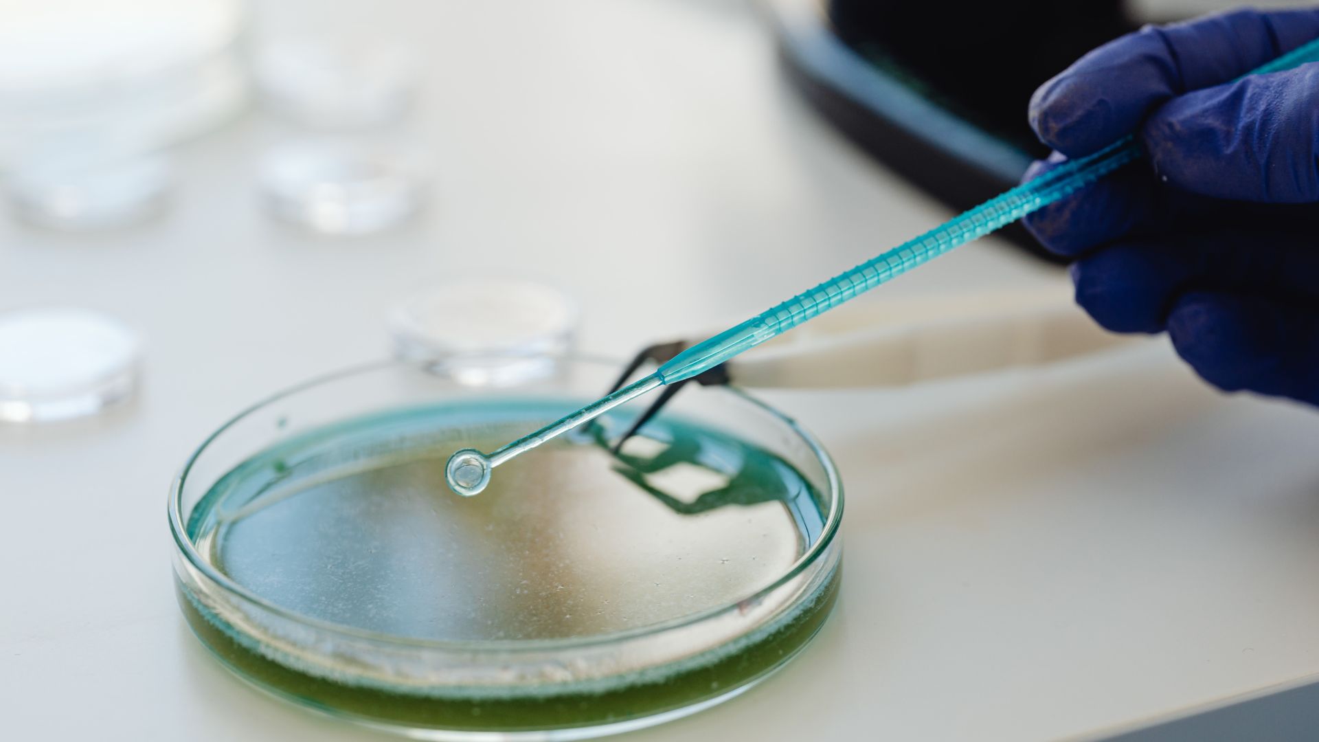 campionamento microbiologici easy service1